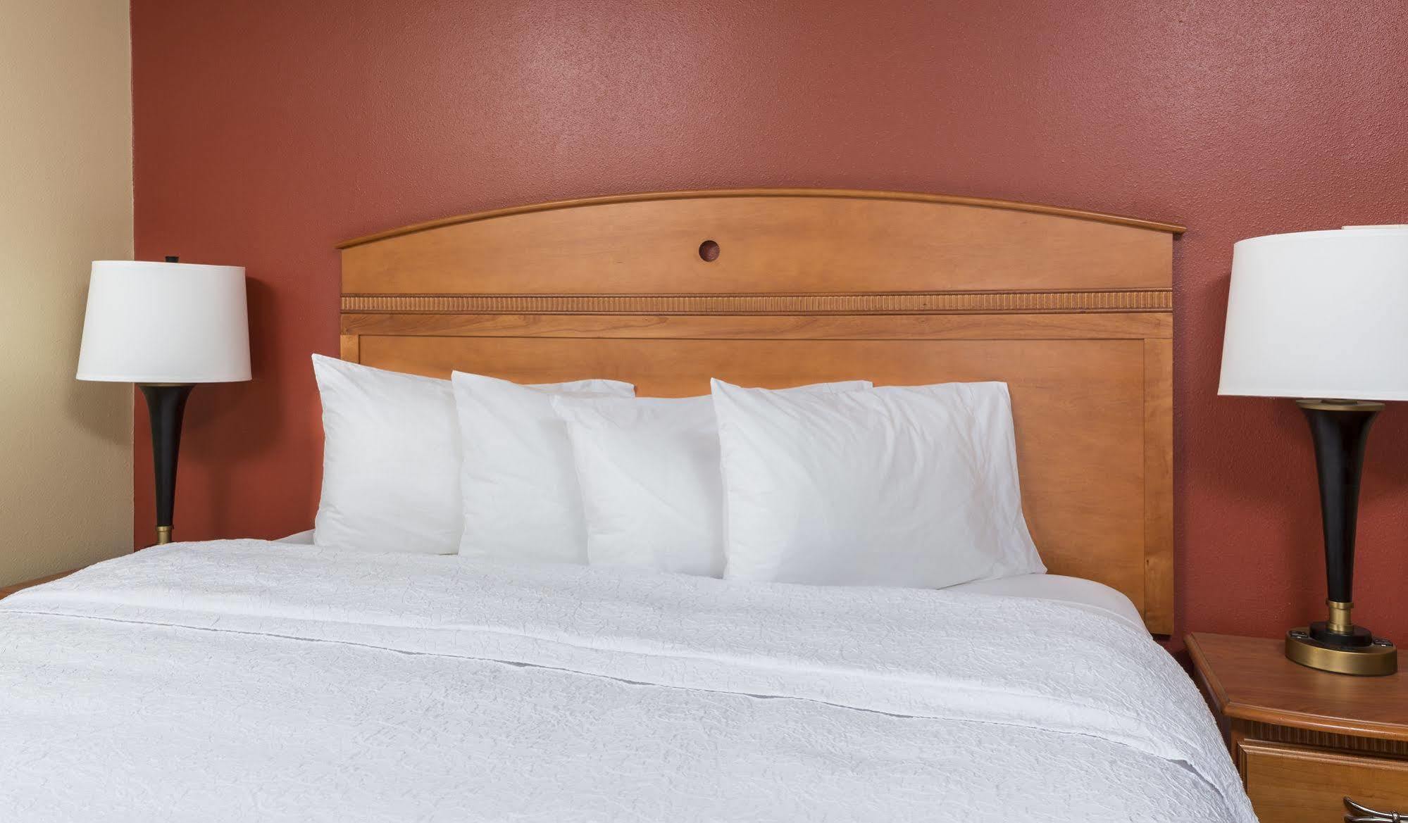 Hampton Inn Wichita Falls-Sikes Senter Mall Extérieur photo